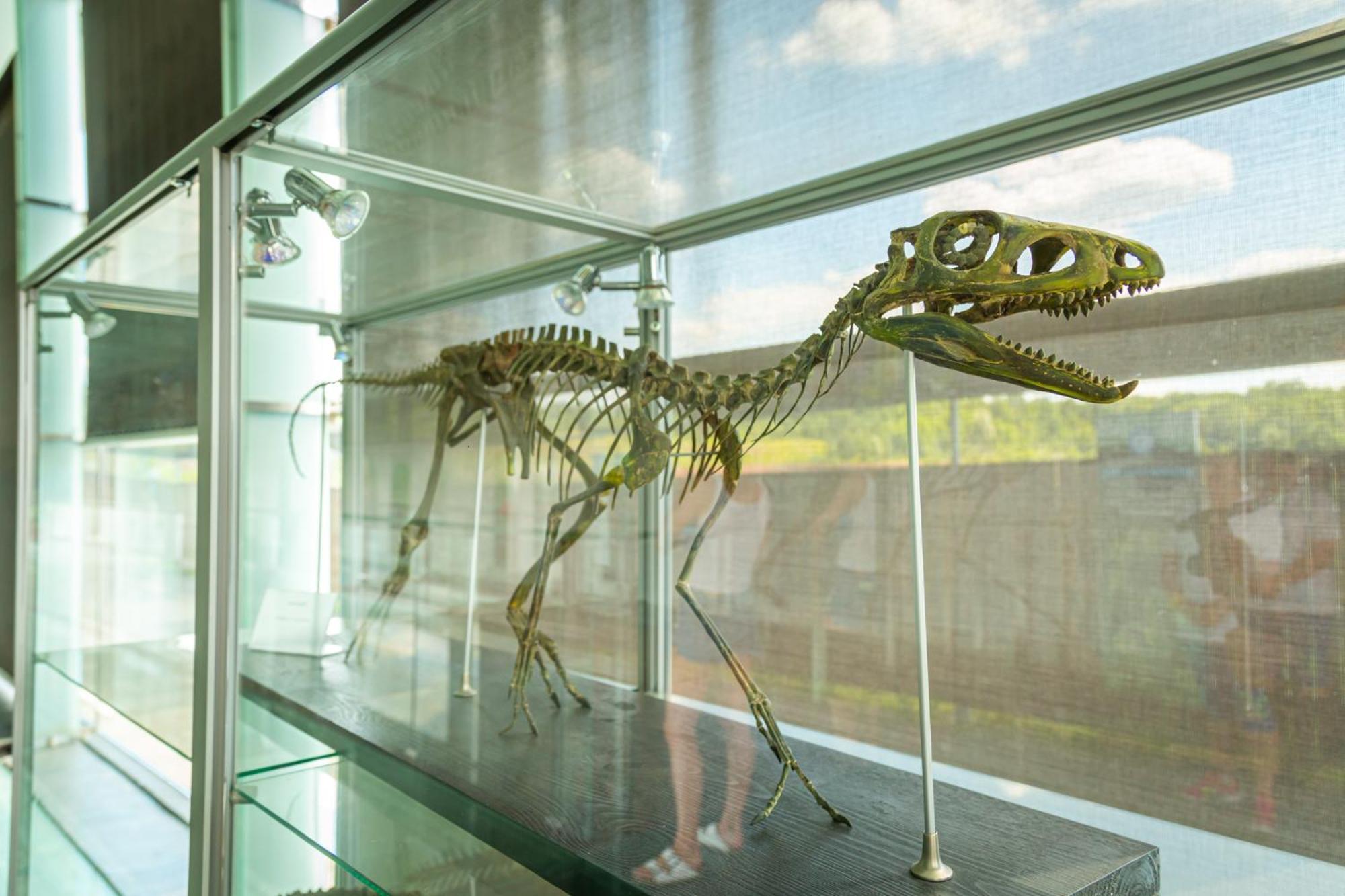 Noclegi Jurapark Krasiejow ภายนอก รูปภาพ